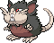 Raticate