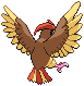 PokeRogue Dex: Pidgeotto back