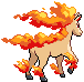 PokeRogue Dex: Rapidash back