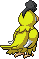 PokeRogue Dex: Squawkabilly YellowPlumage back