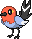 PokeRogue Dex: Fletchling