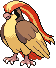 PokeRogue Dex: Pidgeot